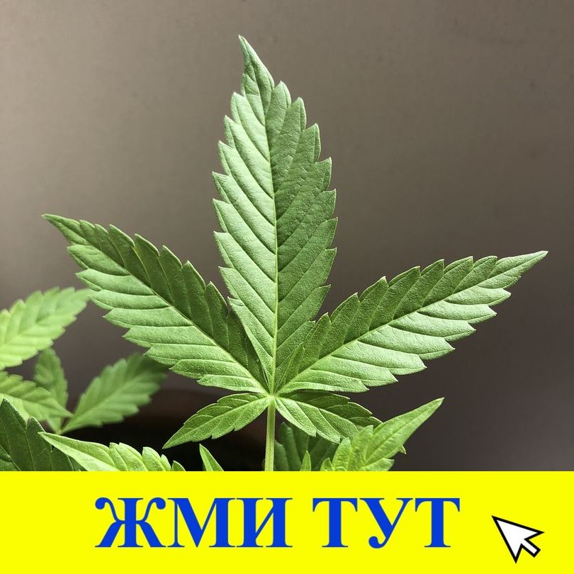 Купить наркотики в Ухте